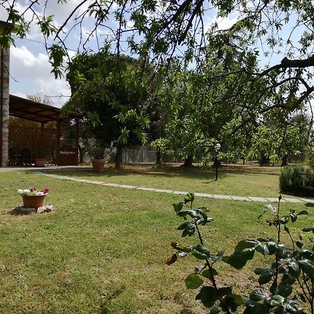 Agriturismo Podere Selvette Campagnatico Εξωτερικό φωτογραφία