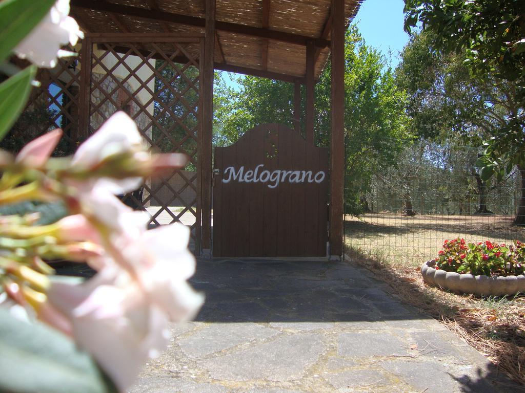 Agriturismo Podere Selvette Campagnatico Εξωτερικό φωτογραφία