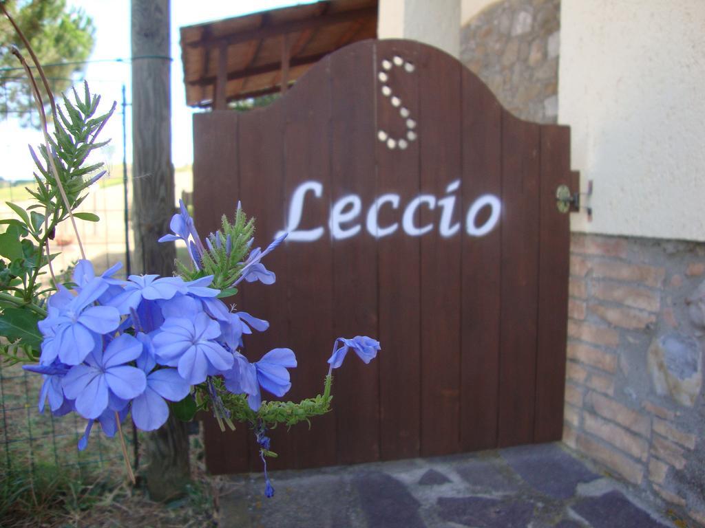 Agriturismo Podere Selvette Campagnatico Εξωτερικό φωτογραφία