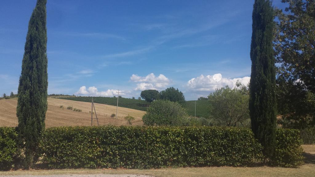 Agriturismo Podere Selvette Campagnatico Εξωτερικό φωτογραφία