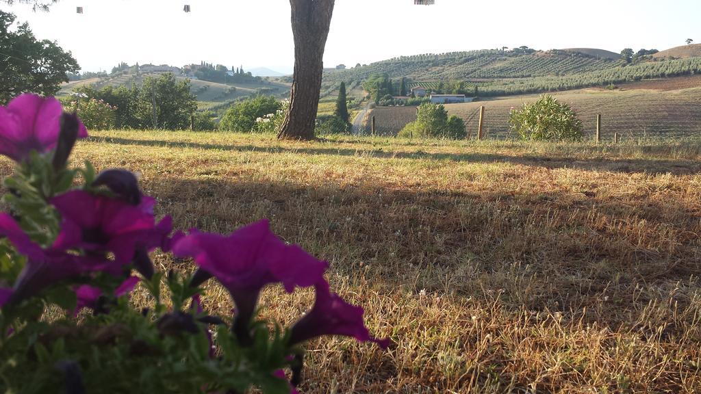 Agriturismo Podere Selvette Campagnatico Εξωτερικό φωτογραφία