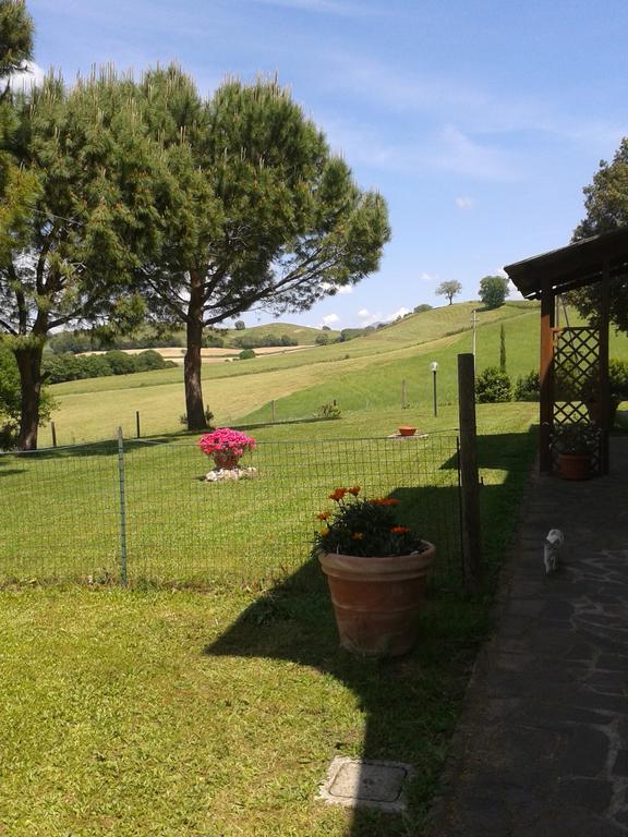 Agriturismo Podere Selvette Campagnatico Εξωτερικό φωτογραφία