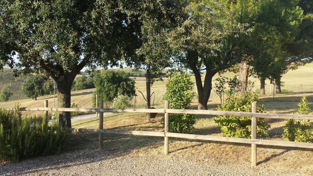 Agriturismo Podere Selvette Campagnatico Εξωτερικό φωτογραφία