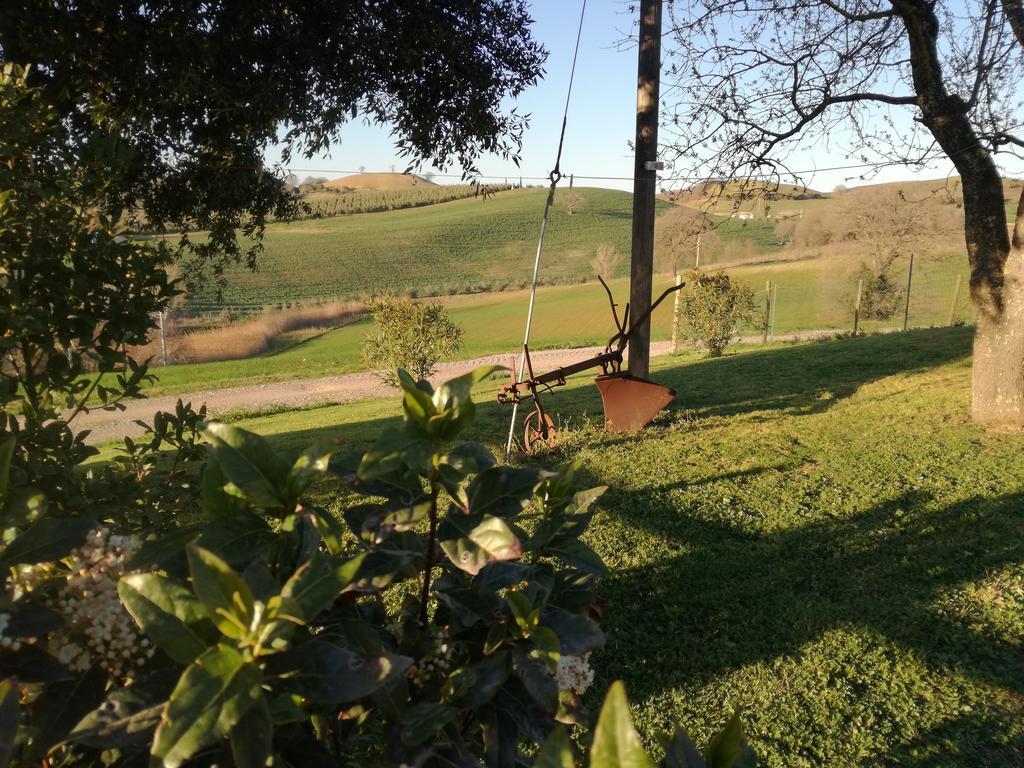 Agriturismo Podere Selvette Campagnatico Εξωτερικό φωτογραφία