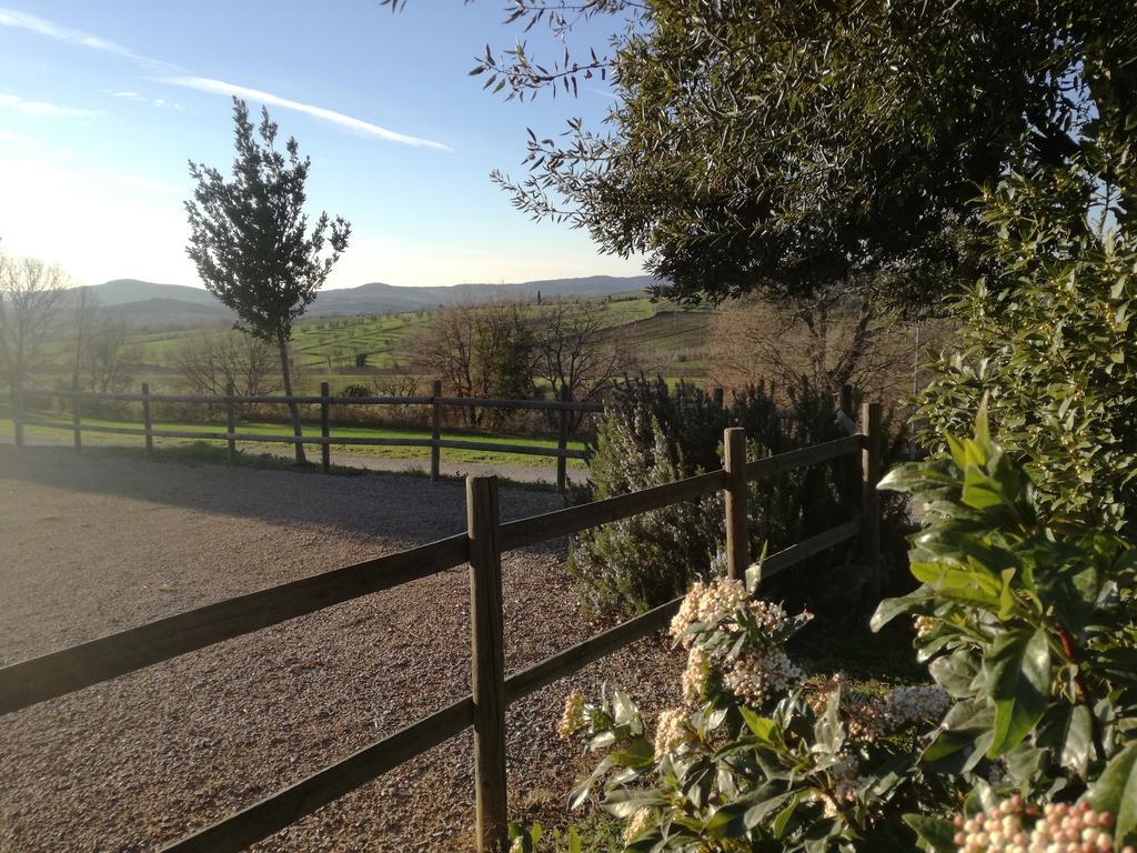Agriturismo Podere Selvette Campagnatico Εξωτερικό φωτογραφία